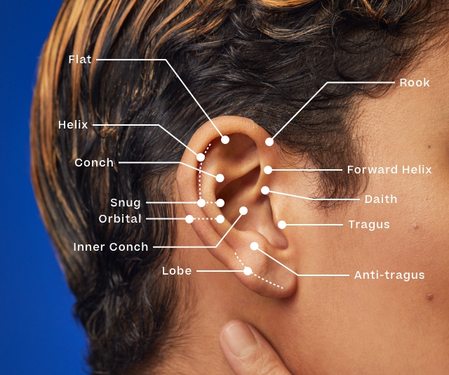 Ear Piercing Demos - Ear Piercing Videos | Banter